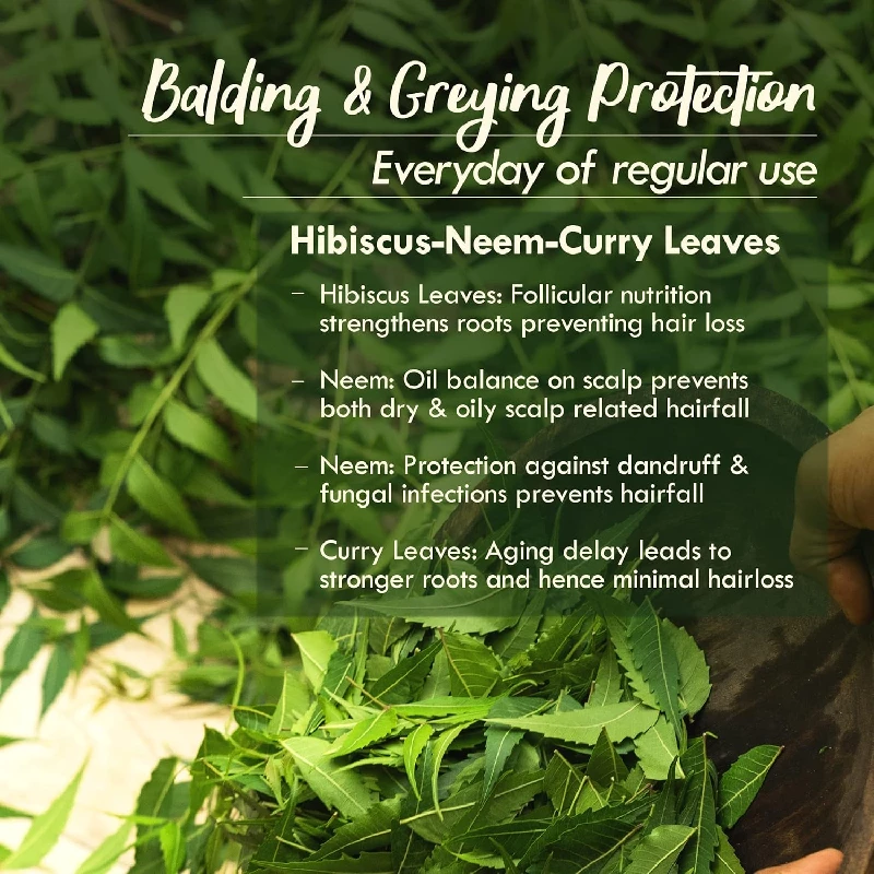 Nat Habit - Back To Natural Secrets Everyday Mens Revital Summer Dasabuti Hair Oil for Hairfall-3.webp